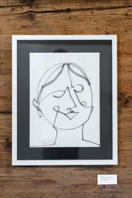  Julia Roman Grafik & Illustration