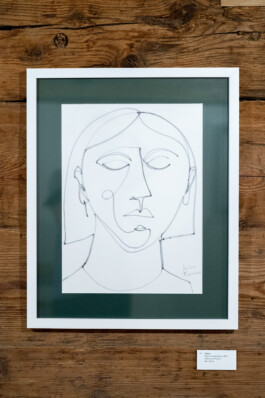  Julia Roman Grafik & Illustration