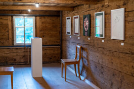 Julia Roman Grafik & Illustration