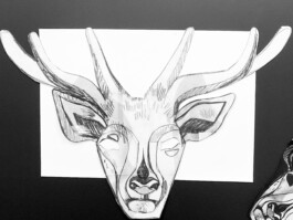 Julia Roman Grafik & Illustration