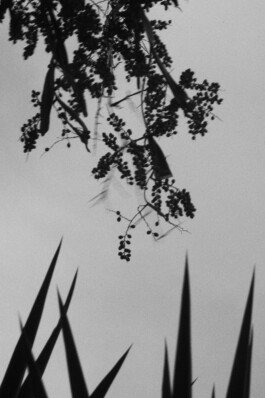  Julia Roman Grafik & Illustration